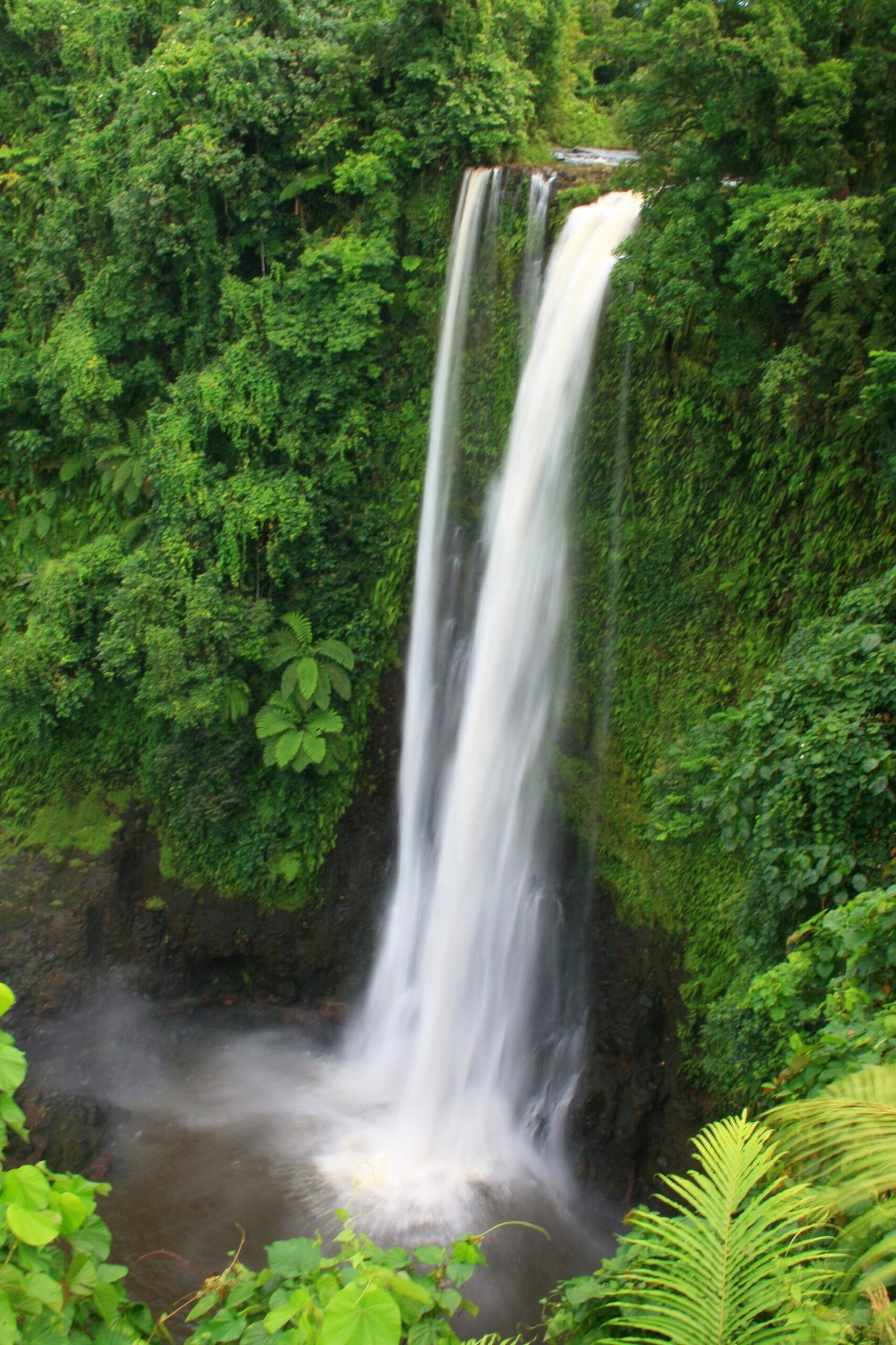 Waterfall in the rainforest of Upolu