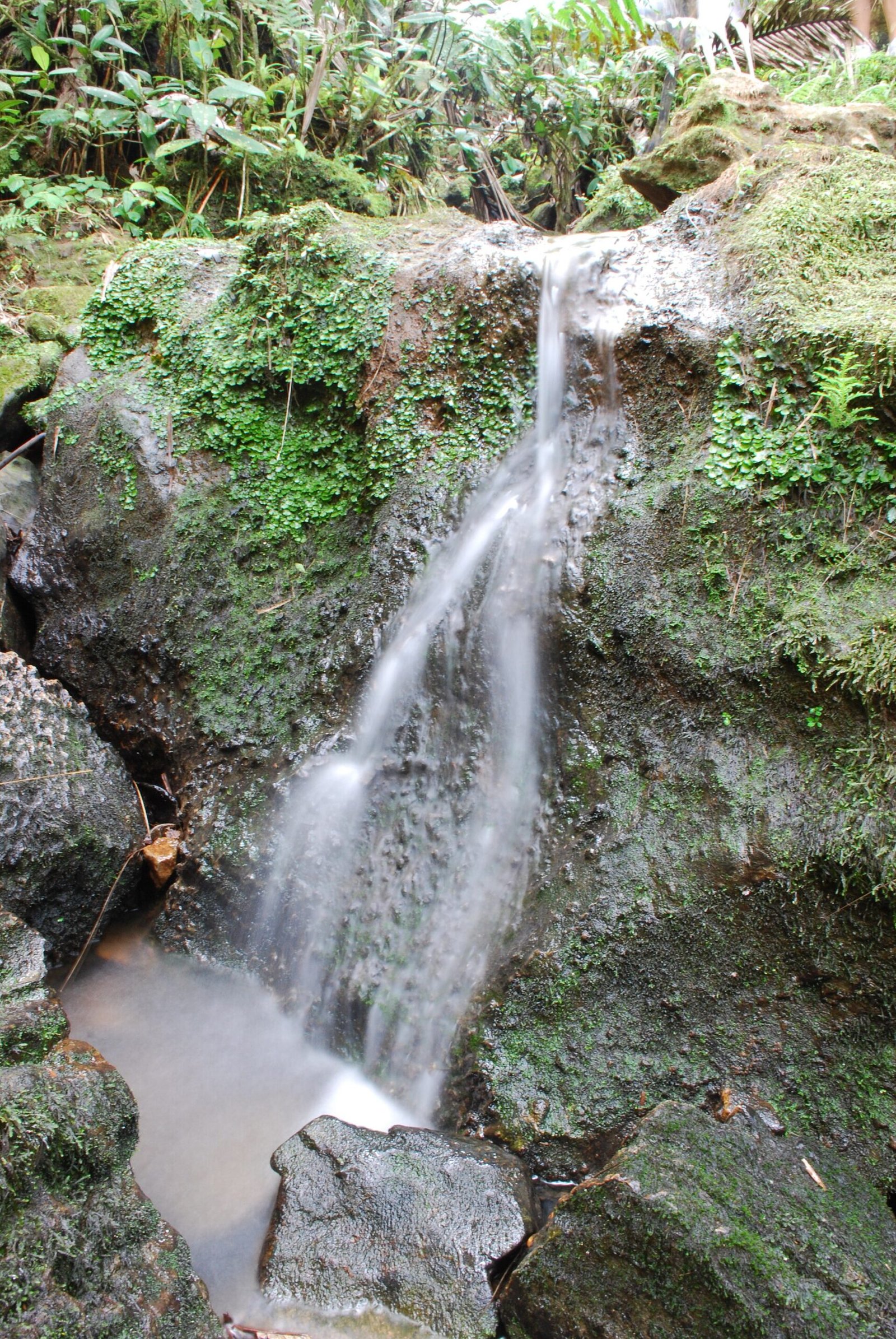 Lush rainforest waterfall in El Yunque