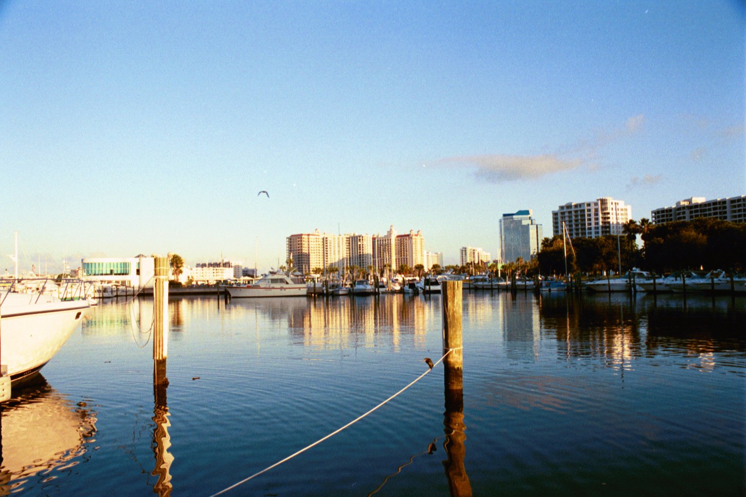 Palm-lined Sarasota Bayfront