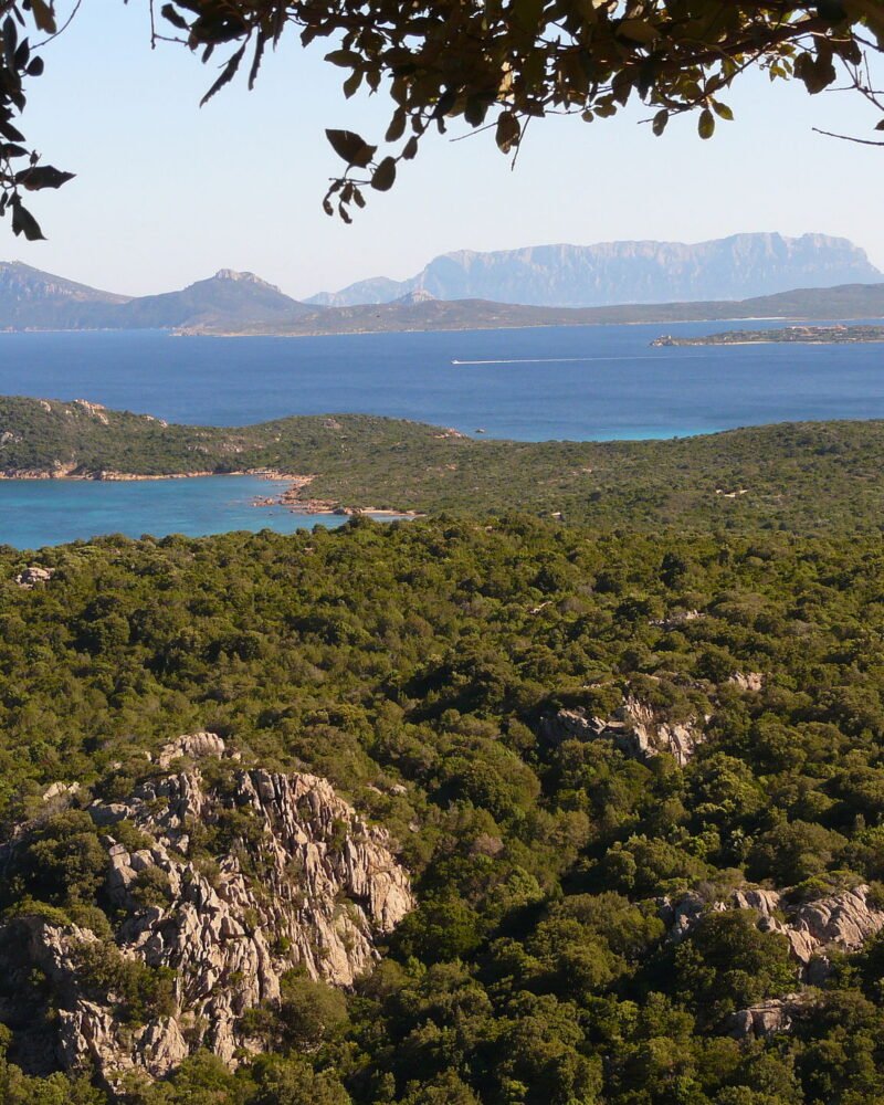 Sardinia Travel Guide: Olbia, Costa Smeralda, Costs & 7-Day Plan
