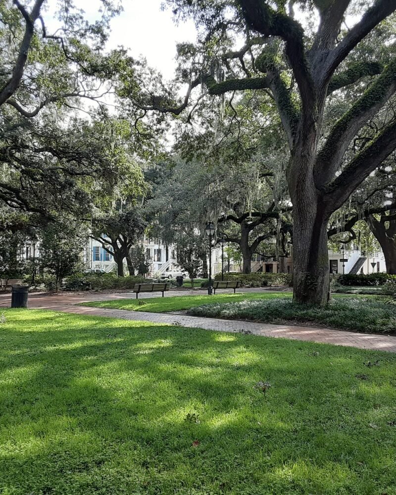 Savannah Travel Guide: Itinerary, Costs & Best Areas