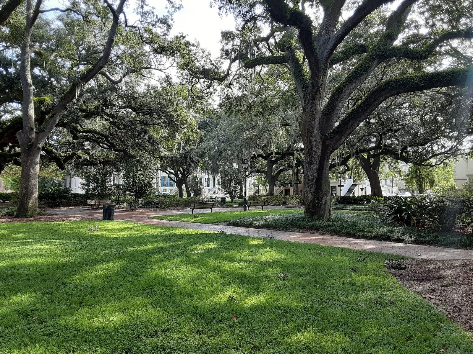 Oak trees and a historic square in Savannah