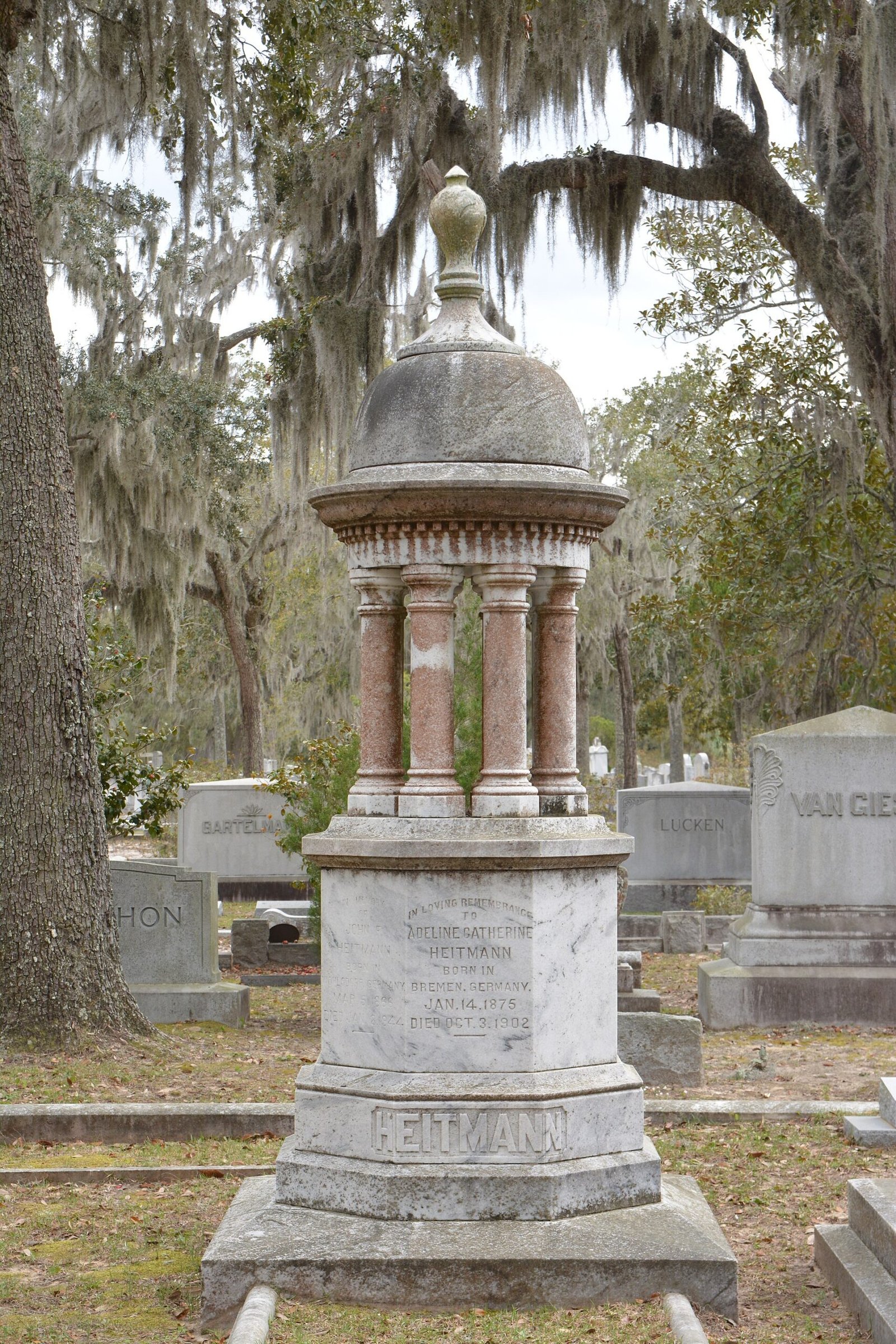 Tree-lined landscape at Bonaventure Cemetery