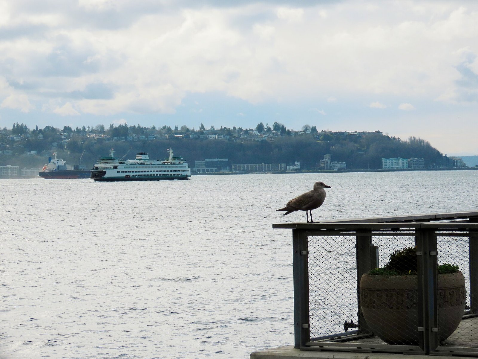 Ferry crossing Puget Sound near Seattle