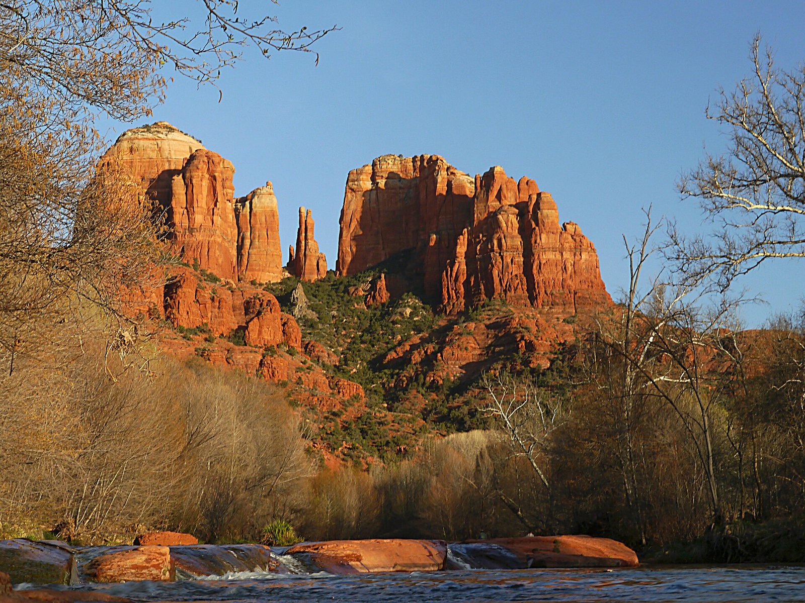Cathedral Rock glowing red in Sedona