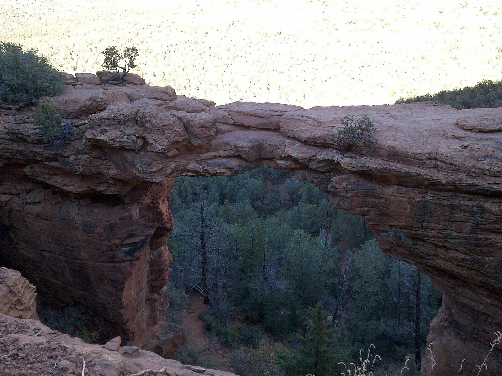 Natural sandstone arch at Devil's Bridge
