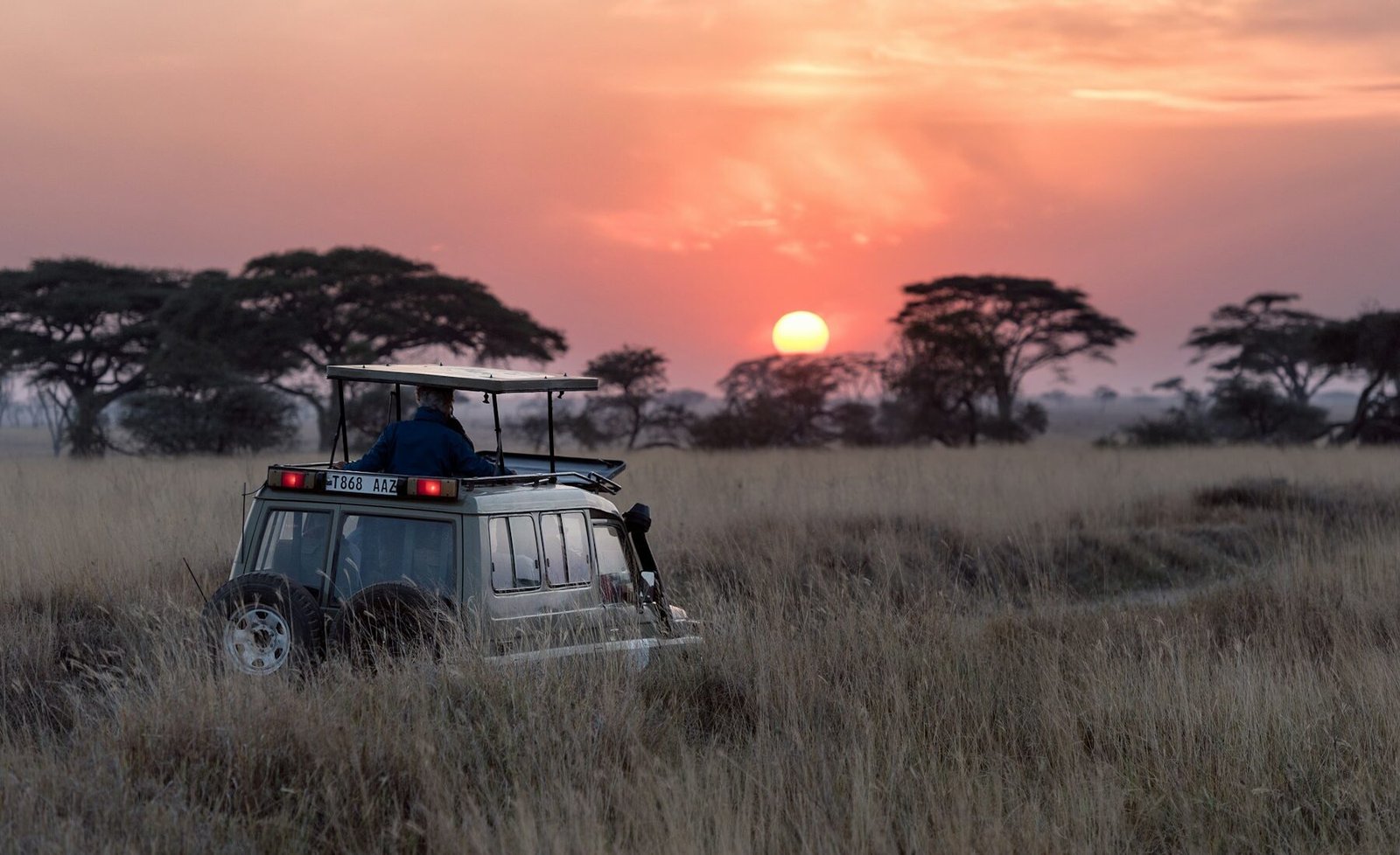 Serengeti travel landscape