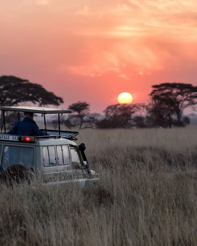 Serengeti