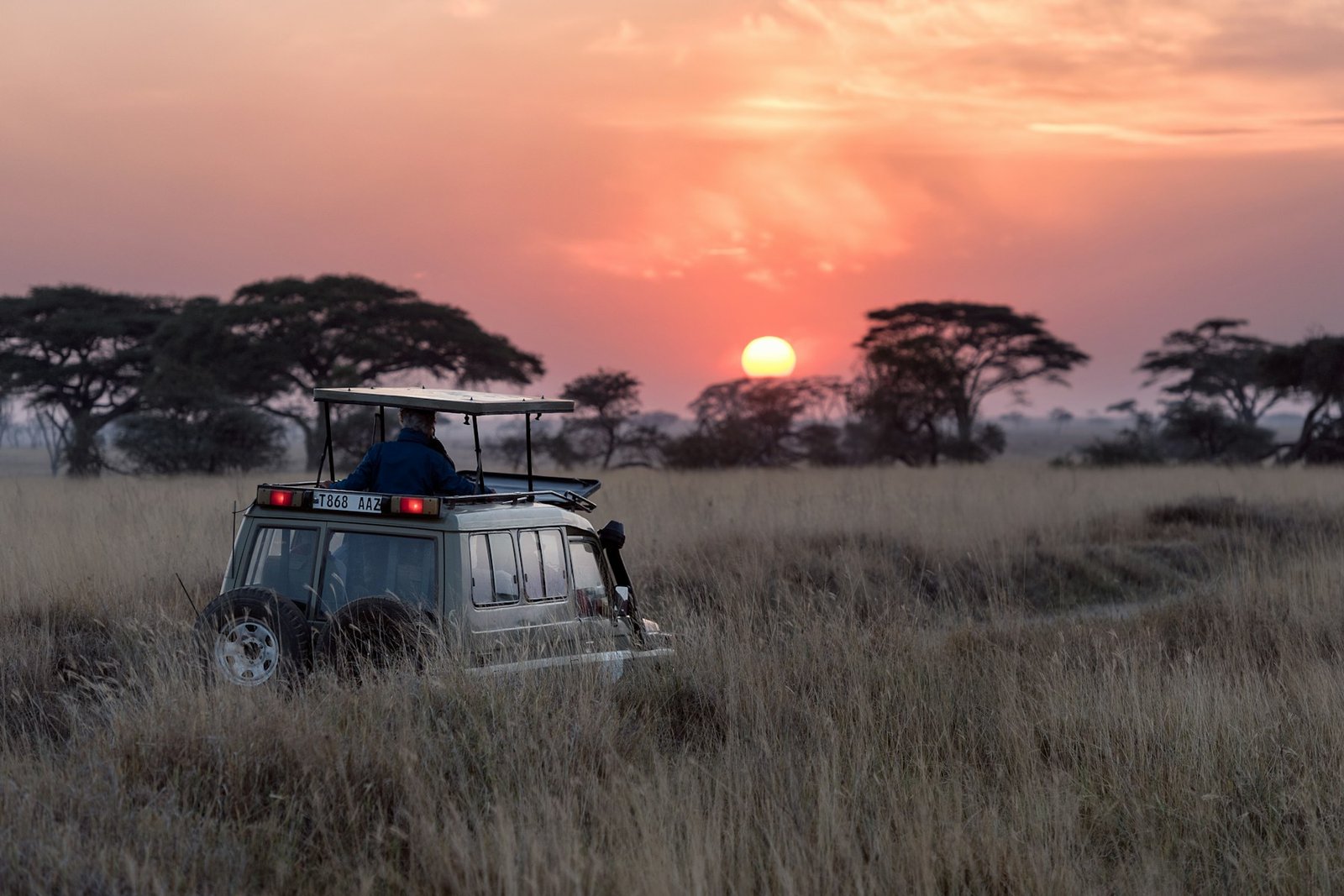 Serengeti travel landscape