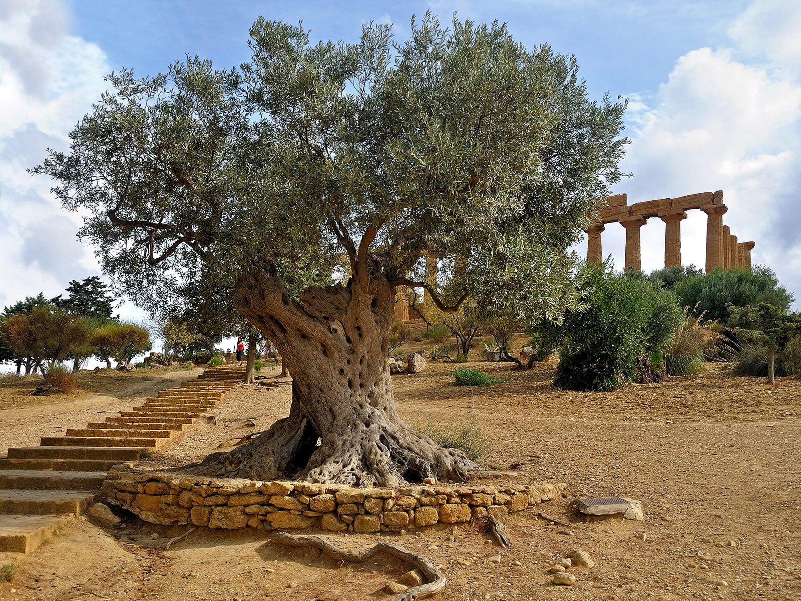 Ancient Greek temple near Agrigento
