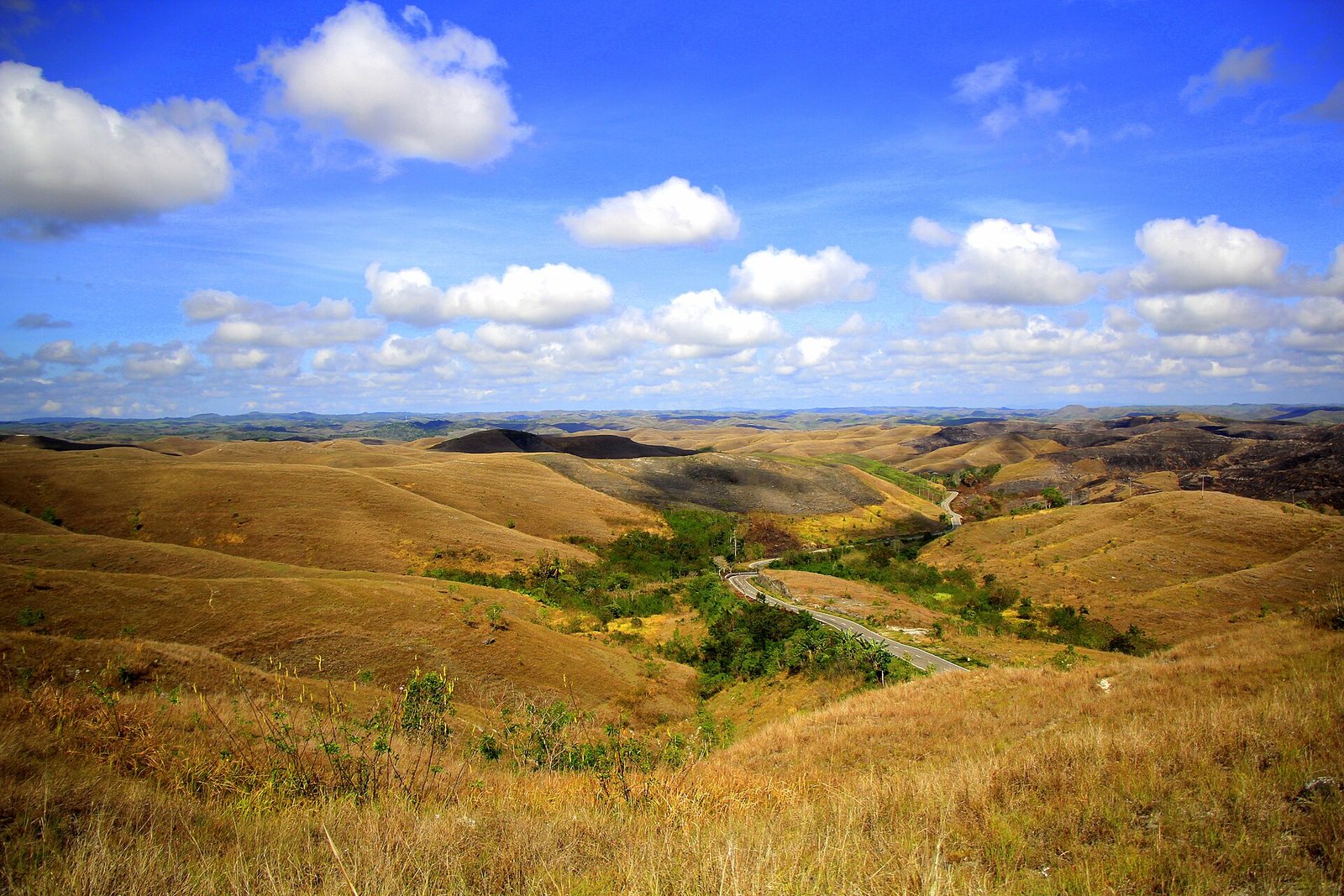 Rolling savanna at Wairinding Hills