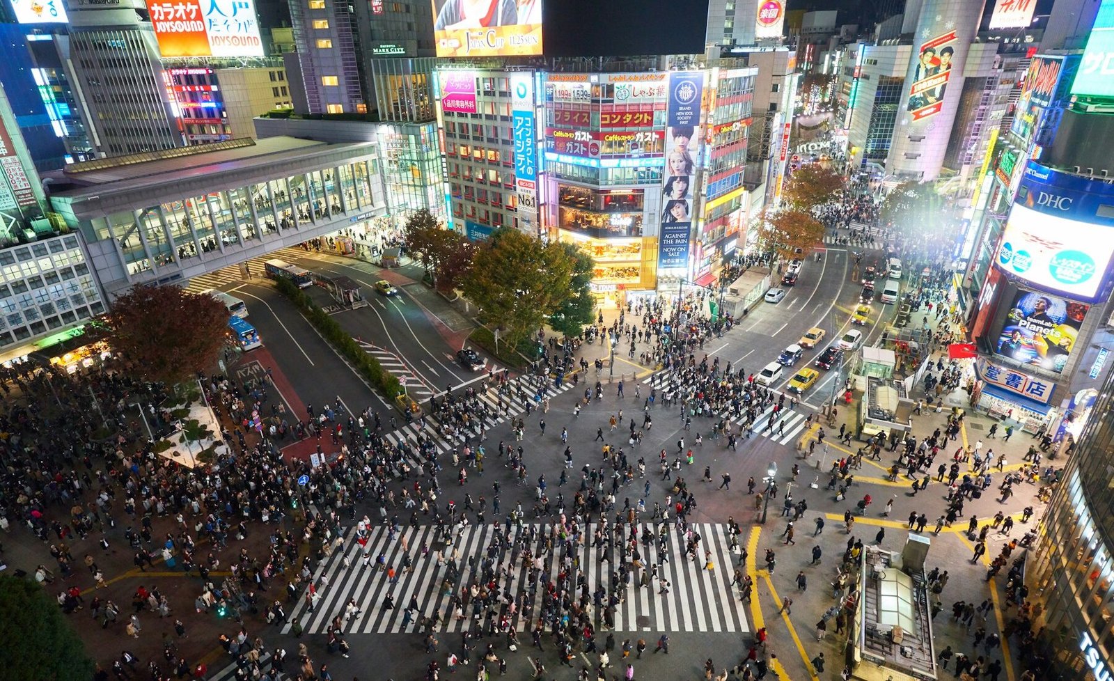Tokyo’s neon streets glowing after dark