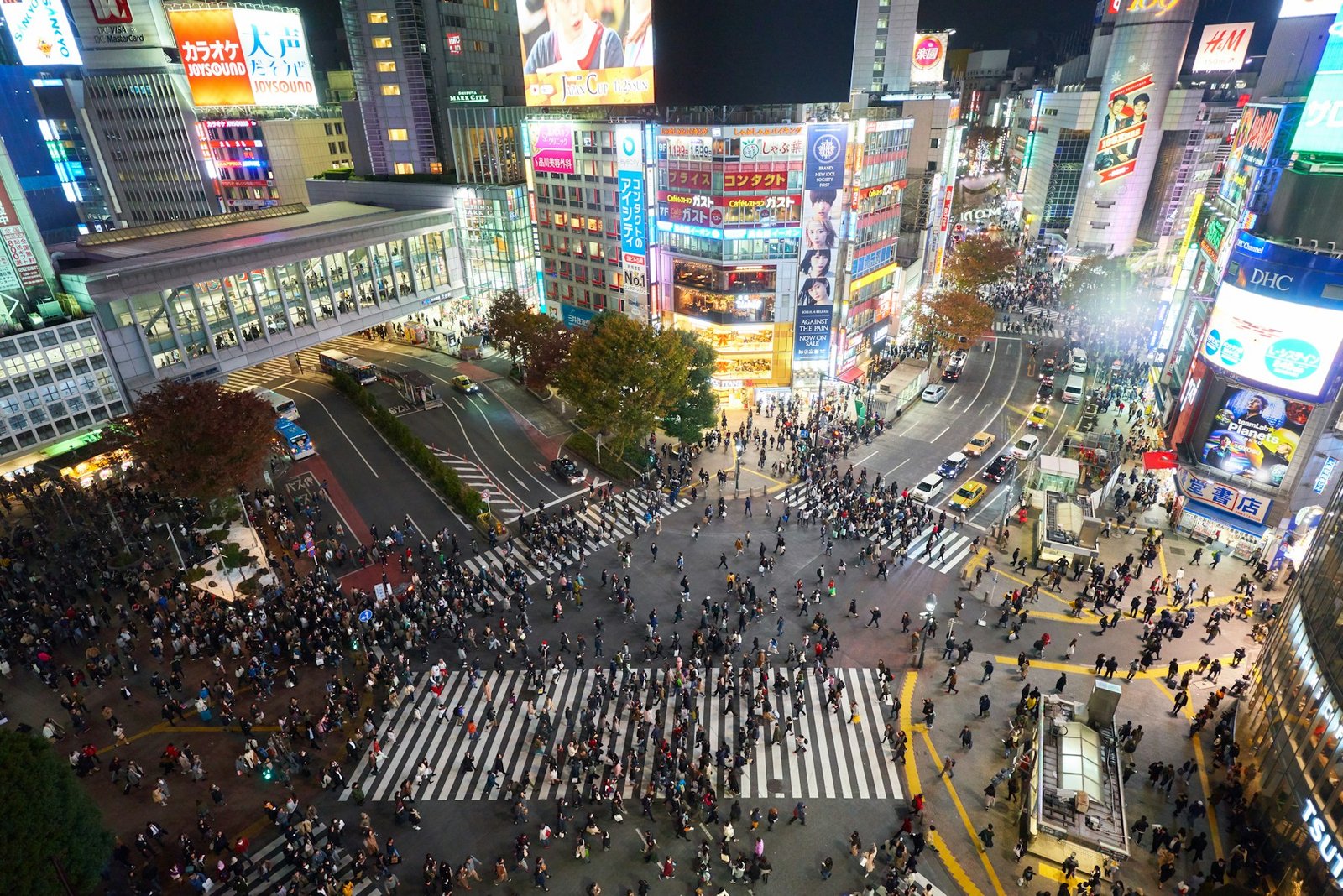 Tokyo’s neon streets glowing after dark