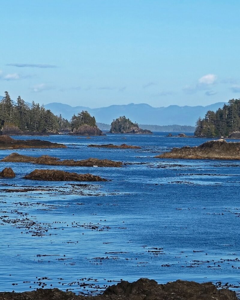 Ucluelet Travel Guide: Costs, Best Areas & 4-Day Itinerary