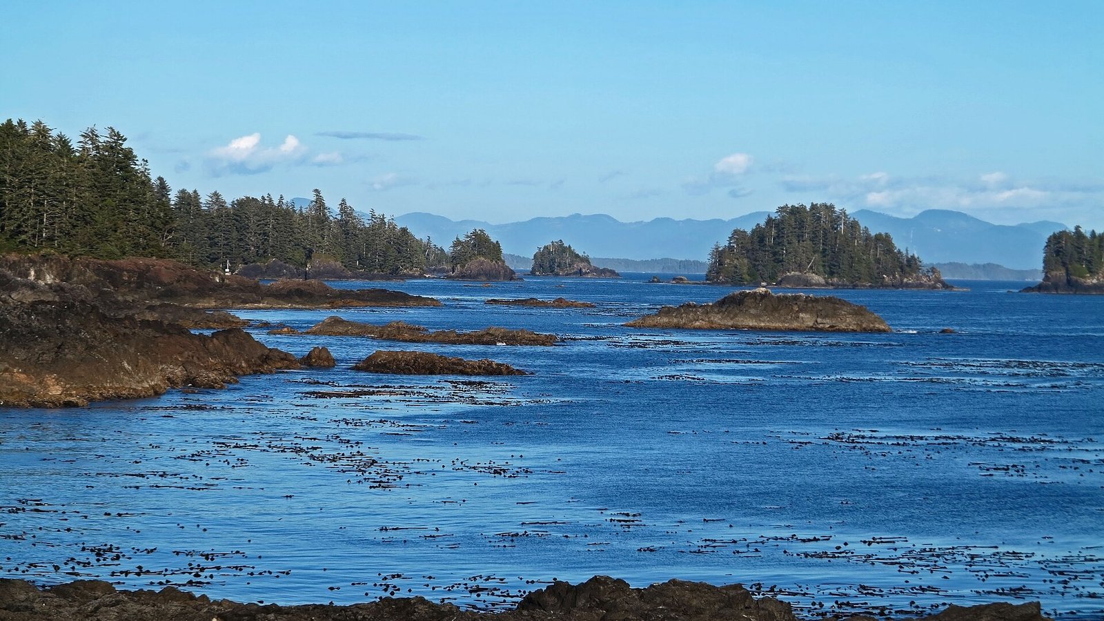 Rocky Pacific coast along the Wild Pacific Trail