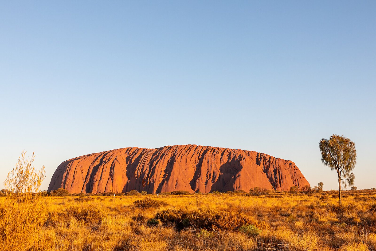 Uluru glowing in low desert light