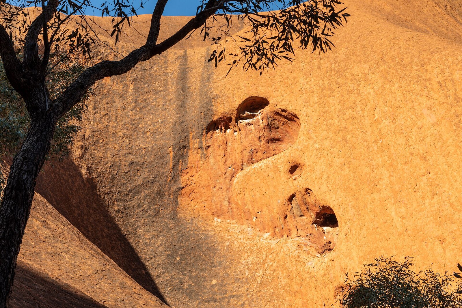 Rounded domes of Kata Tjuta