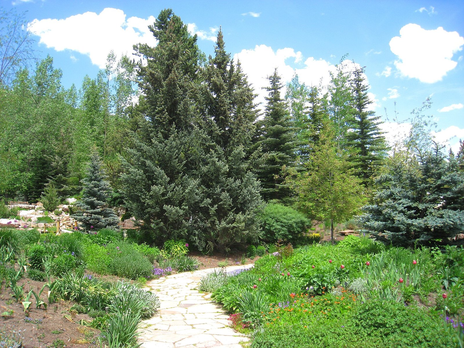 A summer trail through Betty Ford Alpine Gardens in Vail