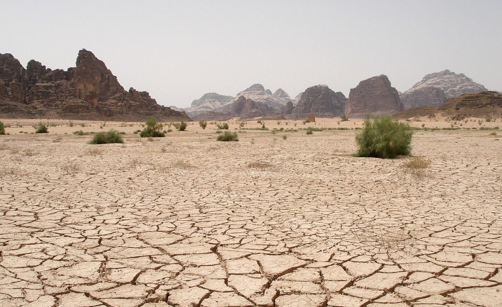 Wadi Rum Dry Desert, Jordan.jpg in Wadi Rum