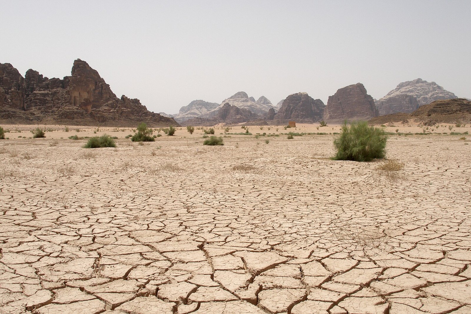 Wadi Rum Dry Desert, Jordan.jpg in Wadi Rum