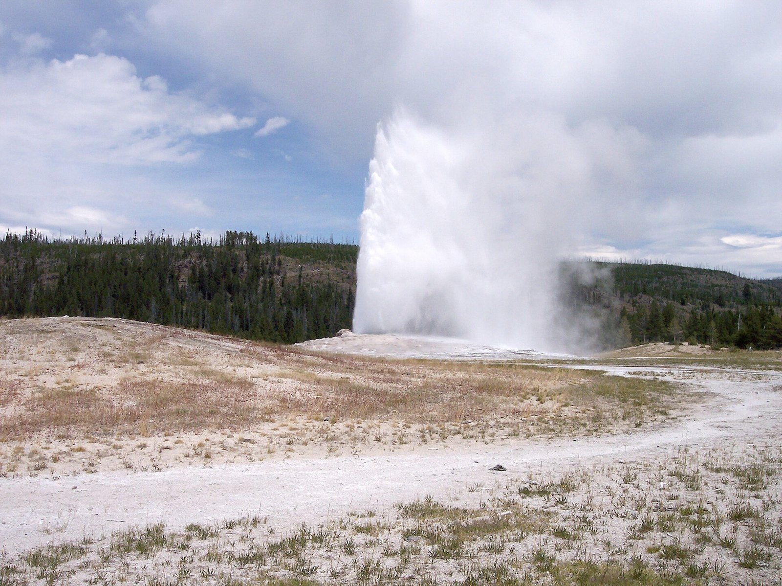 Old Faithful erupting in Yellowstone National Park