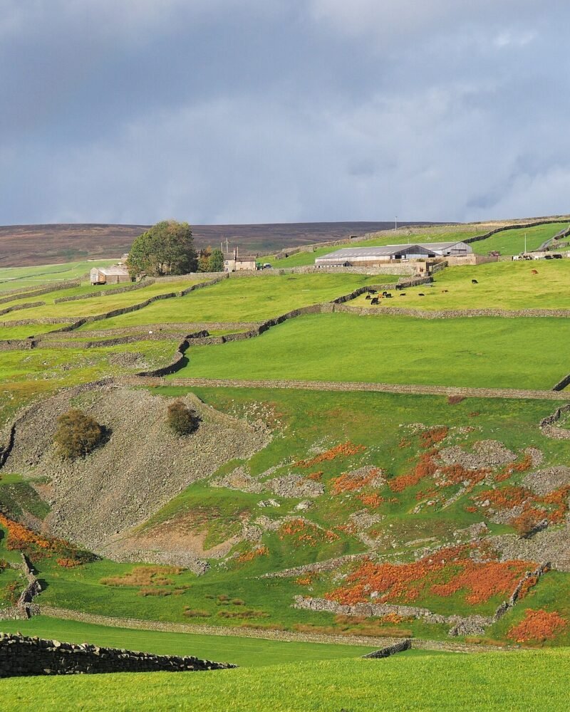 Yorkshire England Travel Guide: 7-Day Itinerary, Costs & Areas