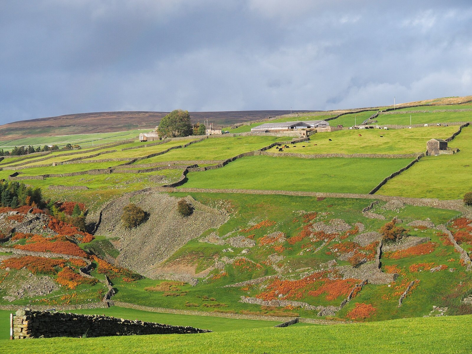 Stone walls and green hills in the Yorkshire Dales