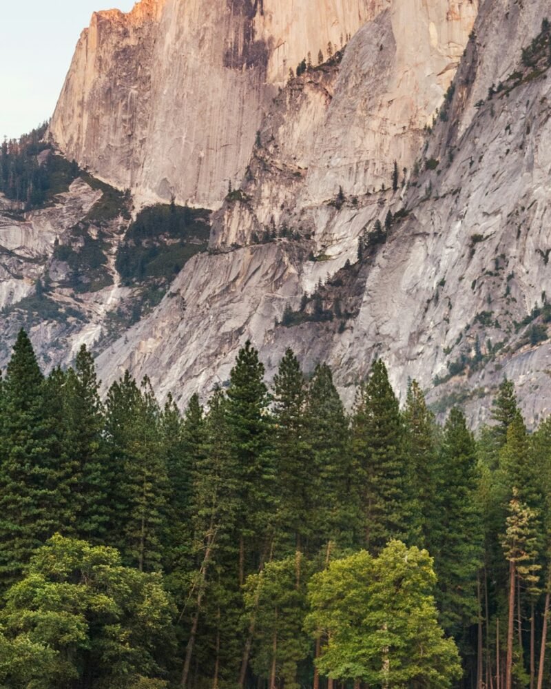 Yosemite National Park