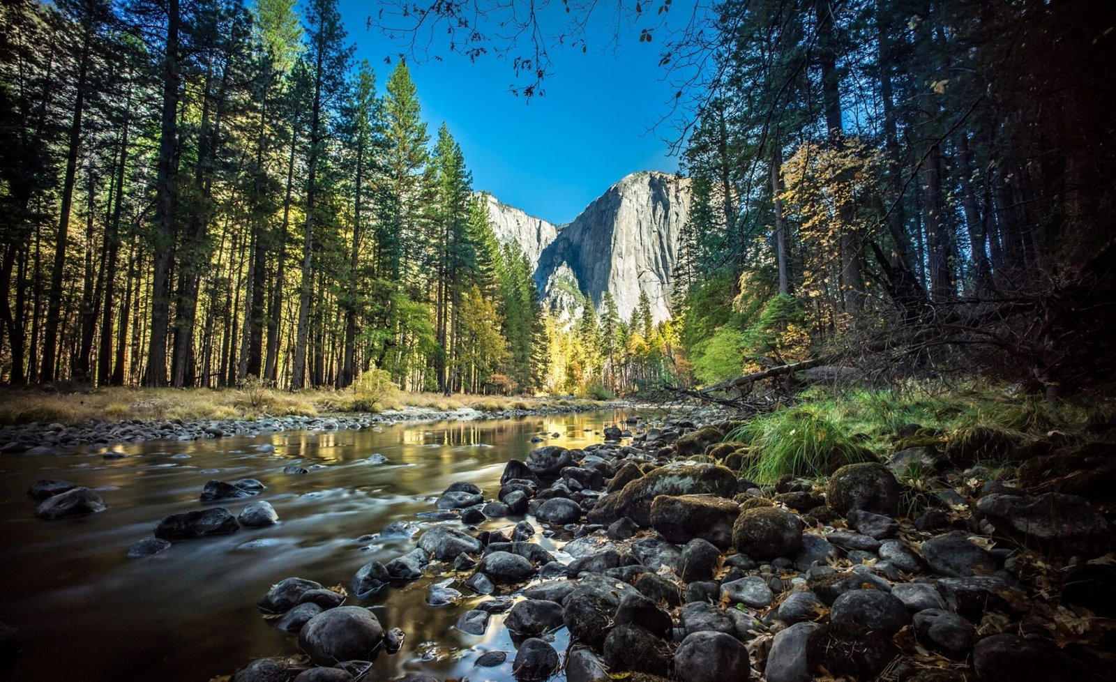 A View Of El Capitan Yosemite National Park United ... in Yosemite National Park