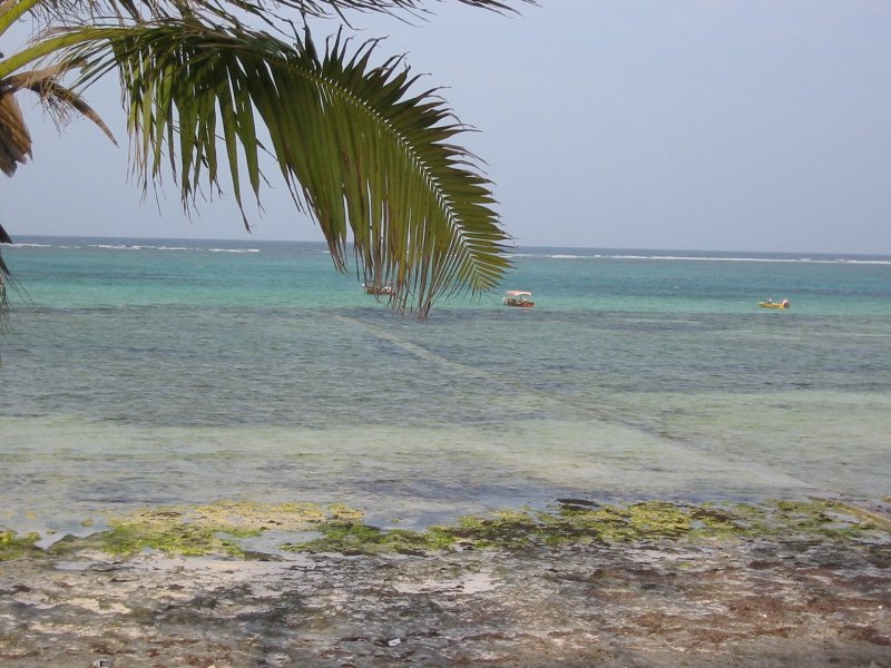 Zanzibar east coast beach.jpg in Zanzibar